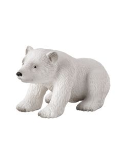 Polarni medvjed mladunče